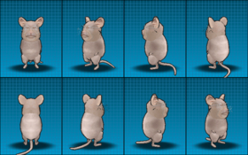 ��ѪӢ������97645