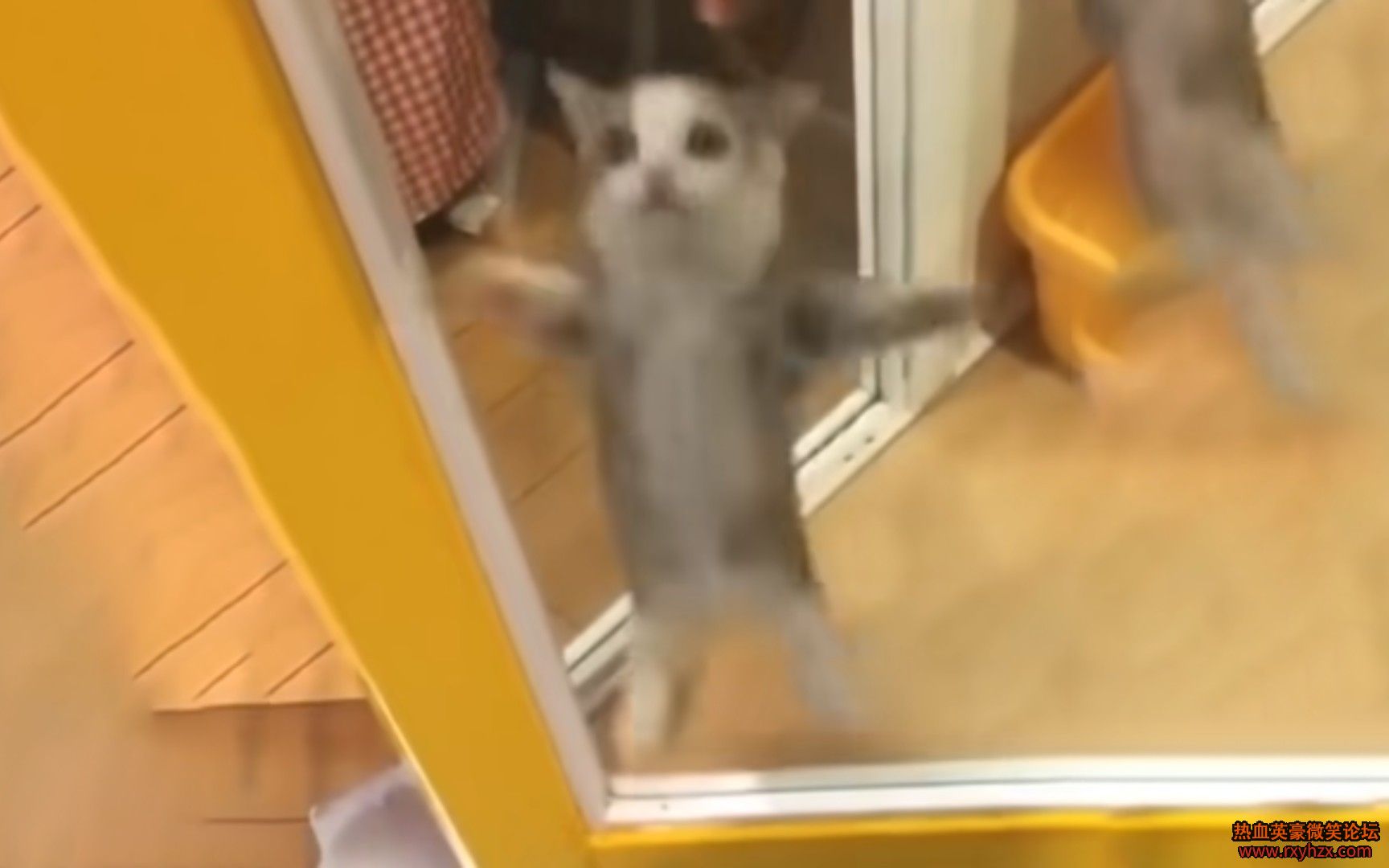 ����ѪӢ��Ҭ�ˡ�happyè  ���� ��ѪӢ��-1.jpg