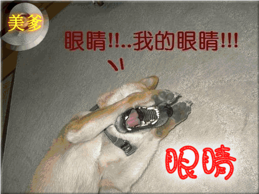 δ.gif